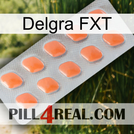Delgra FXT 26